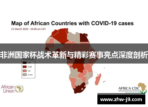 非洲国家杯战术革新与精彩赛事亮点深度剖析